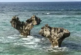 沖繩名護温貝爾珊瑚景觀飯店