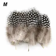 Pheasant Peacock Tail Feathers Wedding Millinery DIY Craft Par