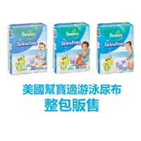 在飛比找蝦皮購物優惠-* Pampers 幫寶適防水尿片 美幫 S號  M號 L號