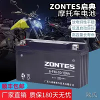 在飛比找露天拍賣優惠-【陳氏】升仕ZT310-X1-X2-T1-T2-R1-R2摩