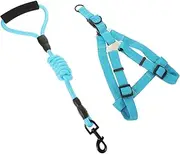 Sosoport Large Breed Dog Harness and Leash Set Outdoor Nylon Pet Walking Controller