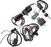 Vuzmode Wiring Harness Coil Loom Ignition System Spark Plug Kit, for 50cc 70cc 90cc 110cc PIT Quad Dirt Bike ATV Dune Buggy Engine Ignition Coil Pack