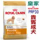 ★皇家 PDA貴賓成犬專用飼料(原PRP30)-7.5kg 狗族文化村