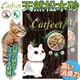 &#128227;此商品48小時內快速出貨&#128640;》CatFeet》天然松木砂崩解型木屑砂貓砂(原味)-20lb