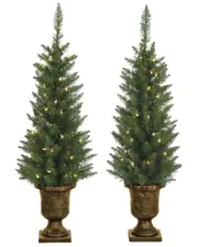 Sterling Tree Company 3.5ft Potted Norway Pine With 50 Clear Lights (Set Of 2)