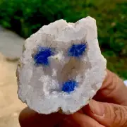 103G Indian dandelion zeolite blue needleQuartz Crystal Cluster Mineral Specimen
