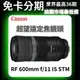 Canon RF 600mm f/11 IS STM 超望遠定焦鏡頭 公司貨 無卡分期 Canon鏡頭分期