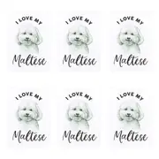 6x Splosh Pet Lovers Maltese 7cm Acrylic Magnet Home/Kitchen Fridge Decor White