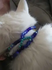 **Cat or Dog Collar/Necklace. Multi-Blue Shade Stones. Custom Sized. 2 Strands**