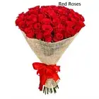 PREMIUM HIGHLY SCENTED REED DIFFUSER REFILLS - Red Roses Fragrance