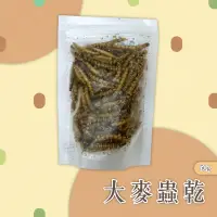 在飛比找蝦皮購物優惠-【Yuan²】領券享免運｜ 大麥蟲乾 麥皮蟲乾 超級麵包蟲 