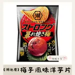 【高妍植日貨】「現貨」湖池屋暴烤梅子風味洋芋片52G