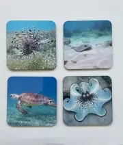 Set 4 COASTERS Puerto Rico underwater sealife lionfish octopus manta ray turtle