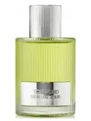 Tom Ford Beau De Jour eau de parfum 100 ml vape