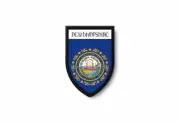 PATCH PATCHES EMBLEM IRON ON GLUE PRINT FLAG world crest usa new hampshire