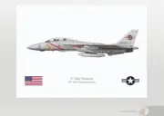 Warhead Illustrated F-14A Tomcat VF-102 Diamondbacks #111 Aircraft Print