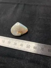 RARE Fossil shell Coober Pedy Opal 34 carat