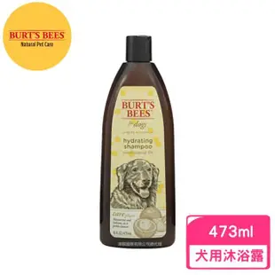 【Burts Bees小蜜蜂爺爺】水漾絲滑沐浴露16oz/473ml(寵物洗劑)