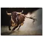 El Toro 2 by Lucia Heffernan Gallery-Wrap Canvas Giclee Art (12 in x 18 in)