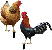 YARNOW Chicken Yard Stake Sign Garden Stake Art Rooster Hen Decor Durable Acrylic Perfect Yard Ornament