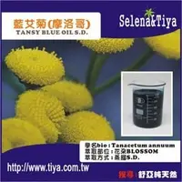 在飛比找PChome商店街優惠-(舒亞)藍艾菊(摩洛哥)TANSY BLUE OIL S.D