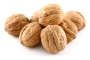 Anna and Sarah Walnuts in Shell Jumbo Fresh Buttery Taste Easy to Crack Calif...