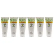 Burts Bees Sensitive Facial Cleanser by Burts Bees for Unisex - 6 oz Cleanser - Pack of 6