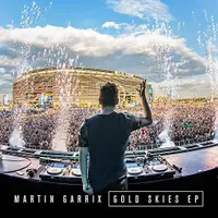 在飛比找蝦皮購物優惠-🎸微音樂🎸 Martin Garrix－Gold Skies