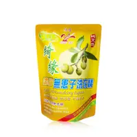 在飛比找蝦皮購物優惠-綺緣-潔淨無患子洗衣精-2kg (1瓶+8包)