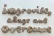 Natural Letter Shaped IMPROVISE, ADAPT AND OVERCOME Beach Stone Pebble Word hag