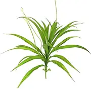 Artificial Cymbidium Orchid Branches Lifelike Faux Leaves for Home Garden Wedding for Creating Tropical Atmosphere with Realistic Touch