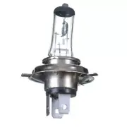 12V 60/55W H/L H4 Halogen Globe (ea)