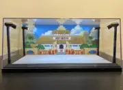 Dragon Ball Custom Card display case LED lights Son Goku Tournament For PSA DBS