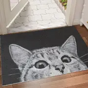 Durable Outdoor Charcoal Door Mat Low Profile Absorbs Dirt Anti Slip Design