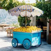 LAGarden Our Beach Umbrella for Sand Beech Wood Pole Carry Bag Lemon Tree