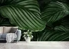 3D Tropical Leaf Green Self-adhesive Removeable Wallpaper Wall Mural