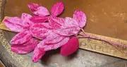 vintage millinery 1940s velvet leaves hand wrapped bubblegum pink 1 spray Japan