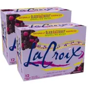 National Beverage Company NAV40112 Sparkling Water, Black Razzberry, 12 Oz Can,