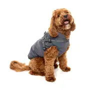 Fuzzyard Reflective Flash Dog Jacket