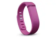 Fitbit Flex Replacement Band Small