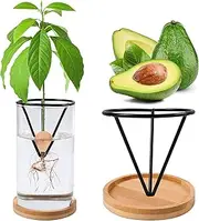 Cozioz Avocado Tree Growing Kit – Glass Avocado Seed Starter Vase with Wooden Base for Easy Sprouting, Indoor Gardening, Hydroponic Plant Propagation, Home Décor Plant Growing Station