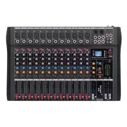 NNEDSZ Hridz 12 Channel Mixing Console Live Studio Audio DJ Mixer Sound Board US