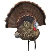 Avian-X Trophy Tom Turkey Decoy | Durable Realistic Lifelike Collapsible