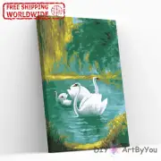 Paint By Numbers Kit Swan Birds Nature Animal Art Beginner Kids Painting Framed