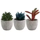 Living Space Decoration Artificial Succulents Soft PVC Material Indoor Plants