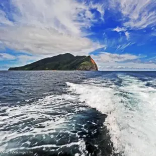 【噶瑪蘭號】賞鯨+環龜山島+登島成人票