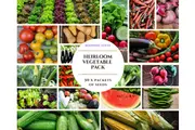 HEIRLOOM VEGETABLE 50 packets GARDEN PACK mixed GARDEN STARTER seeds