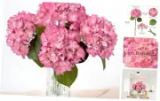 4 Pcs 20'' Real Touch Hydrangeas Pink Artificial Hydrangeas Flowers Faux Latex