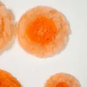 24 pack 12" 16" 20" Coral and Orange Tissue Paper Carnation Flowers Backdrop