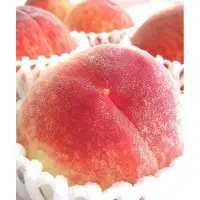 在飛比找蝦皮購物優惠-【日本空運 5月溫室水蜜桃】氣味淡雅 口感清甜 產季短產量少